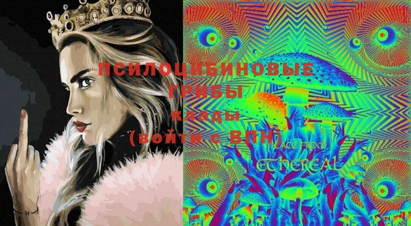 твердый Калининец