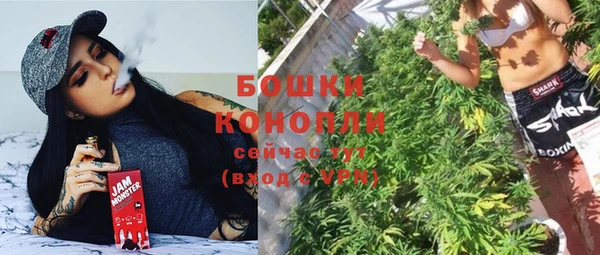эйфоретик Новозыбков