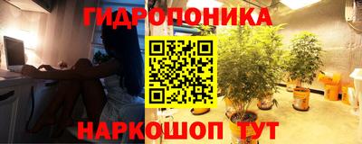 кокс Малоярославец