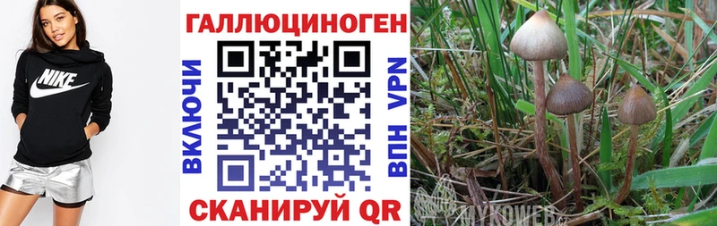 ссылка на мегу ССЫЛКА  Находка  Галлюциногенные грибы GOLDEN TEACHER 